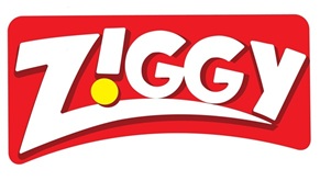 Ziggy - Wonder Works Pvt. Ltd.
